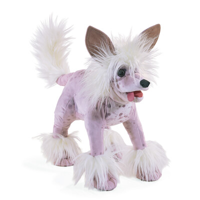 Buy Folkmanis Chinese Crested Dog Puppet wholesale at Kaleidoscope Australasia Pty Ltd